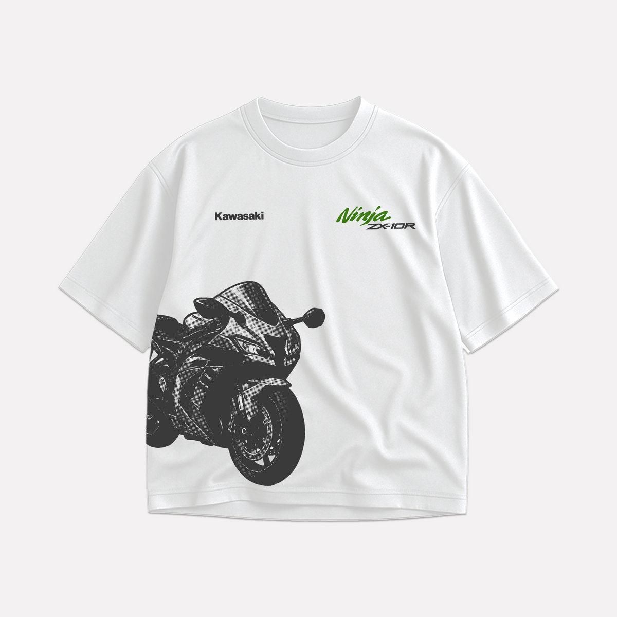 PIQUE | KAWASAKI NINJA ZX-10R